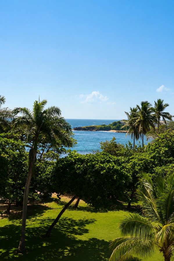 Palm trees and a blue bay near Cofresi